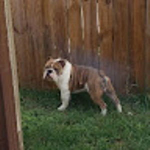 Meet your Posher, Johnna